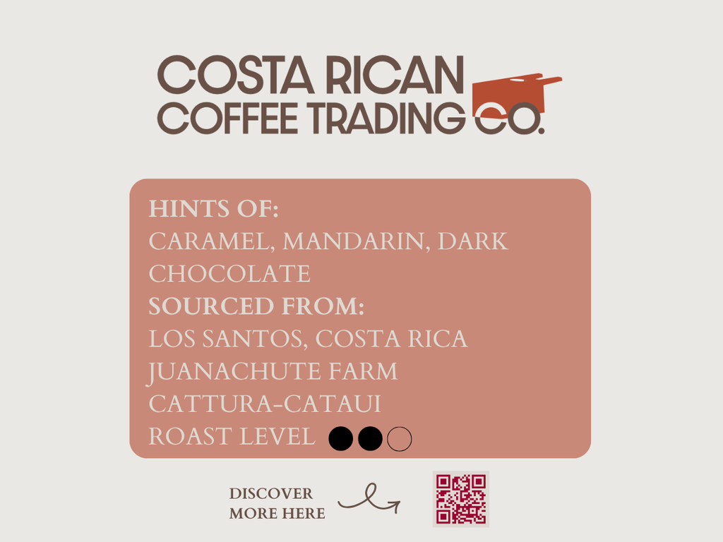 Specialty - "Honey Wash"