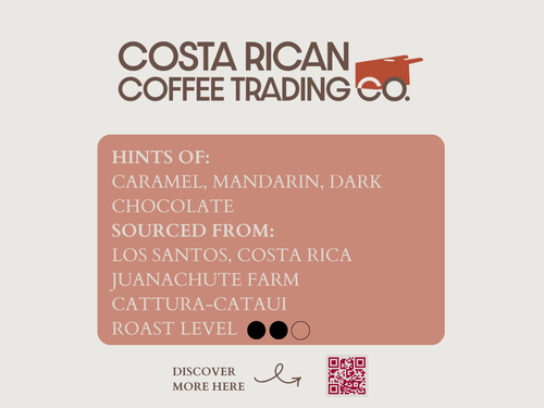 Specialty - "Honey Wash"